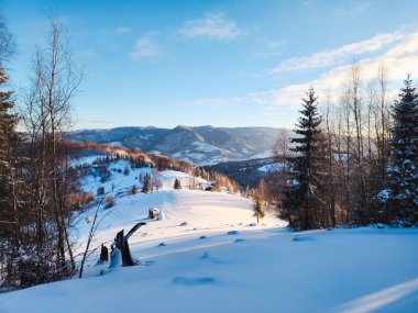 Dağlarda kış manzarası