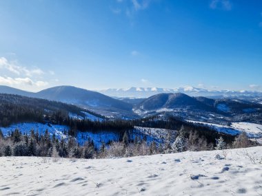 Güneşli bir günde Karpat dağının güzel kış manzarası, Romanya