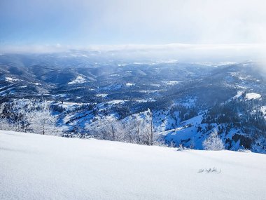 Karla kaplı dağ zirveleri kış ormanlarında