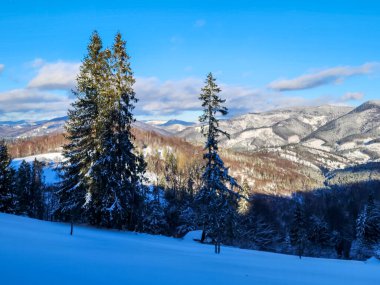 Güzel kar manzarası - güneşli bir günde tepeli dağlar
