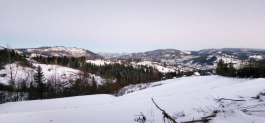 Karla kaplı ağaçlarla kaplı kış manzarası