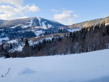 Dağ kış manzarası ve güzel bir orman.