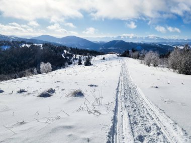 Karpatya dağlarında kış