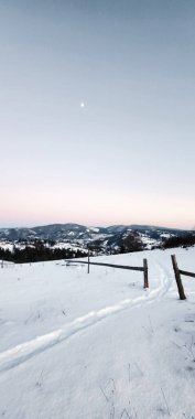 Ağaçlı güzel kış manzarası