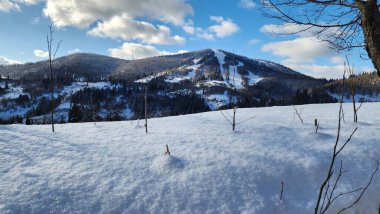 Karla kaplı ağaçları olan güzel bir manzara.