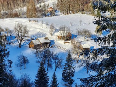 Doğanın güzel manzarası