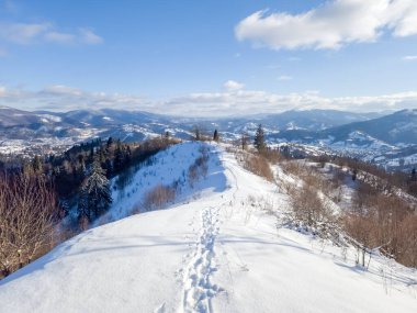 Orman Kış dağ manzarası kar ile kaplı