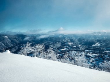 Karla kaplı ağaçlarla kaplı kış manzarası