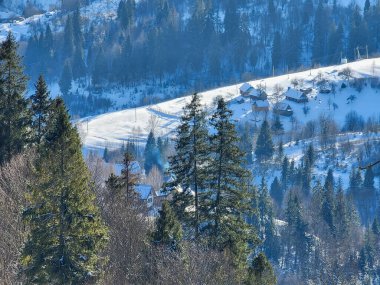 Karla kaplı ağaçlarla kaplı güzel kış manzarası