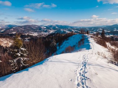 Kar ve ağaçlarla kaplı kış manzarası