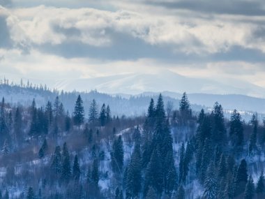 Karlı dağlarla güzel kış manzarası.