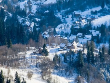 Karlı güzel kış manzarası - ağaçlarla kaplı