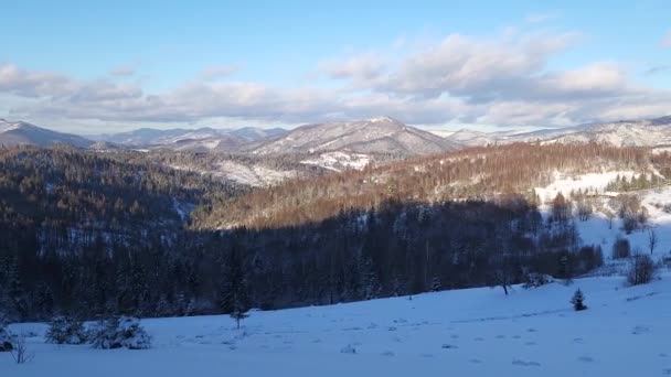 Красивий Зимовий Пейзаж Горою Багато Снігових Покритих Дерев — стокове відео