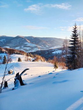 Kar ve dağlarla kaplı kış manzarası