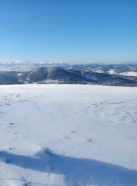 Ormanda karla kaplı tepelerin dikey görüntüsü.