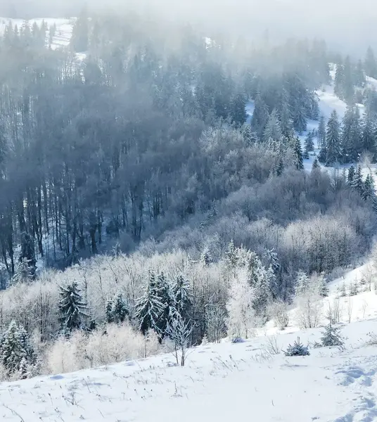Transilvanya 'daki kış dağı manzarası