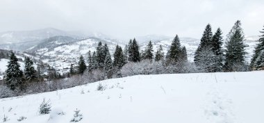 Kar altında kar kayağı yapan biri.