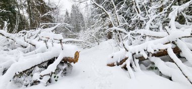 Snowboard 'lu karla kaplı bir patika.