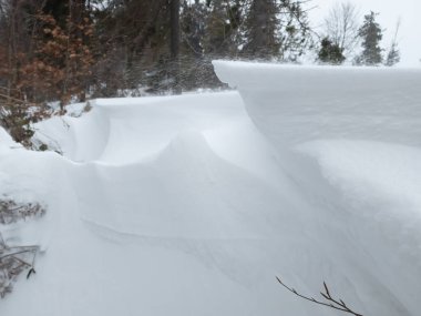 Ormanın ortasında bir kar yığını.