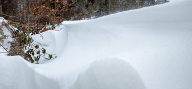 Arkasında ağaç olan bir yamaçta kar vardı.