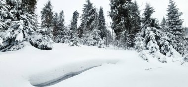 Ukrayna Karpatları 'nın ortasında donmuş ladin ağaçları, buz gibi ihtişamla süslenmiş sabırlı nöbetçiler gibi duruyor. Doğanın kış sanatları manzarayı değiştiriyor, dağların kalbinde dingin bir güzellik manzarası yaratıyor..