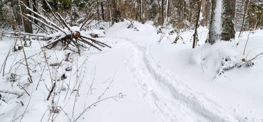 Kayak yapan bir insan karlı bir yolda ilerliyor.