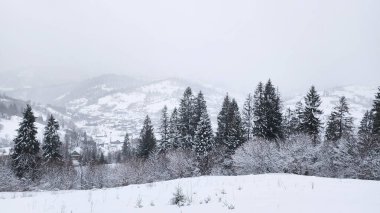 Ağaçları ve tepesi karla kaplı bir dağ.