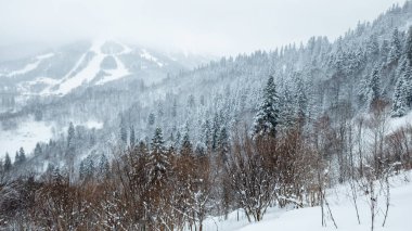 Kar altında kar kayağı yapan biri.