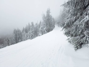 Karlı bir dağ yamacında kayak yapan bir insan.