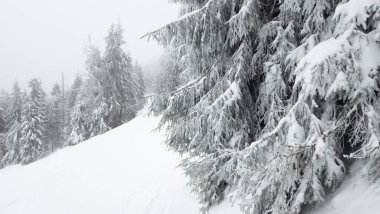 Karlı bir dağda ağaçlarla kayak yapan bir insan.