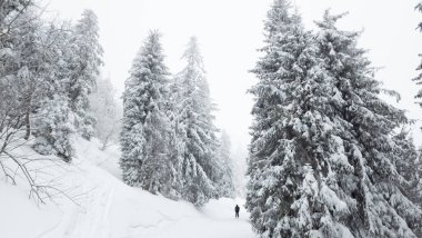Kayak yapan biri karlı tepeden aşağı iniyor.