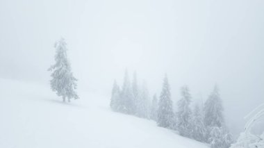 Arka planda ağaçlarla karlı bir dağda kayak yapan bir adam.