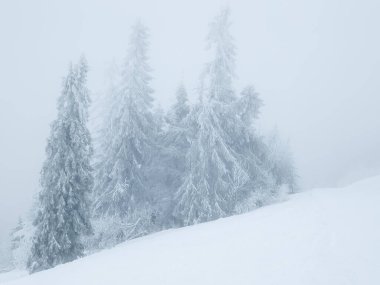 Karlı bir tepede kar kayağı yapan biri.