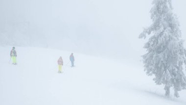 Bir grup insan karla kaplı bir yamaçta kayak yapıyor.