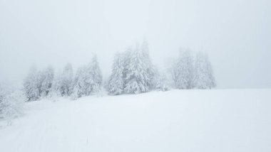 Karlı bir tepede kayak yapan bir insan.