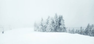 Arka planda ağaçlarla karlı bir tepeden kayak yapan biri.