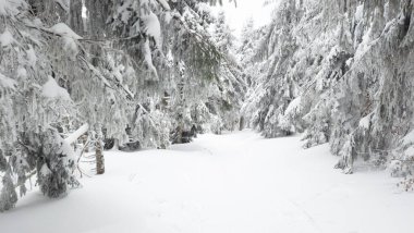 Karda kayak yapan biri.