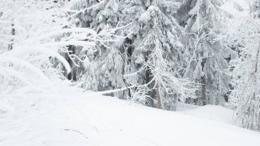 Kar altında kar kayağı yapan biri.