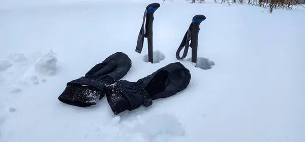 a pair of skis and a pair of snow shoes in the snow