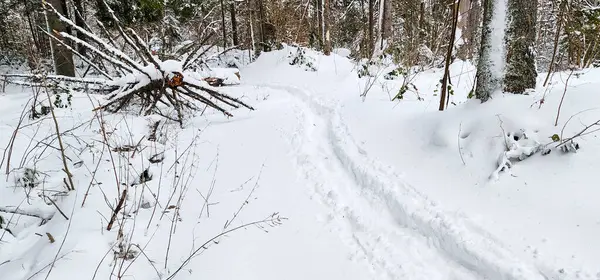 Kayak yapan bir insan karlı bir yolda ilerliyor.