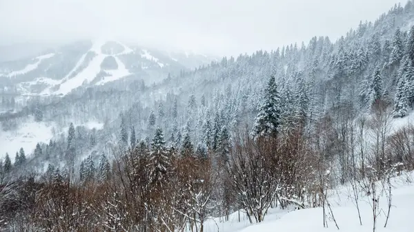 Kar altında kar kayağı yapan biri.