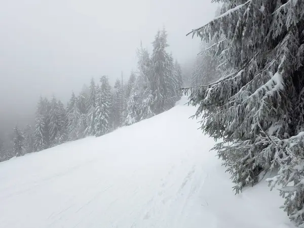 a person skiing down a snowy mountain with trees