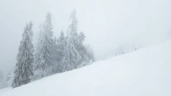 a person skiing down a snowy mountain with trees in the background