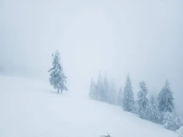 a person skiing down a snowy hill with trees in the background