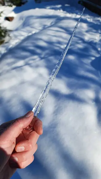 a person holding a thin ice stick in the snow