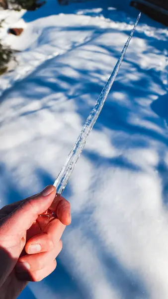 a person holding a thin ice stick in the snow