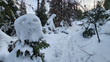 Kardan bir adamla ormanda karla kaplı bir patika.