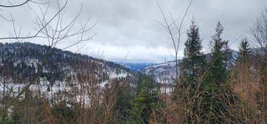 Ağaçları ve birkaç karla kaplı karlı bir dağ