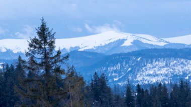 Kar altında kar kayağı yapan biri.