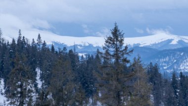 Kar altında kar kayağı yapan biri.